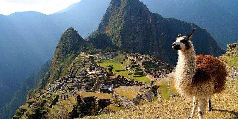 Machu Picchu (1)